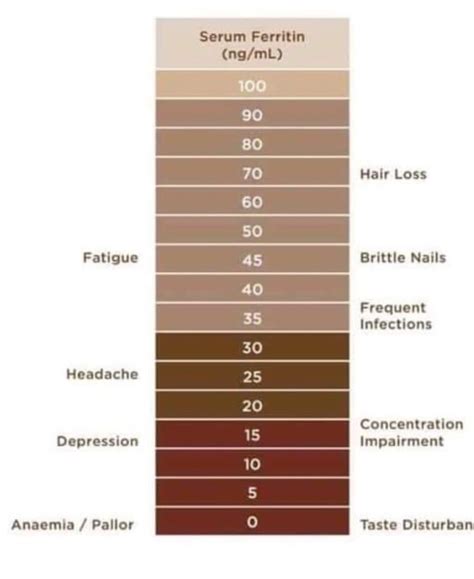 iron levels in water chart